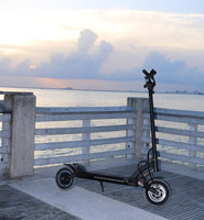 Kaabo MANTIS - fluid Edition