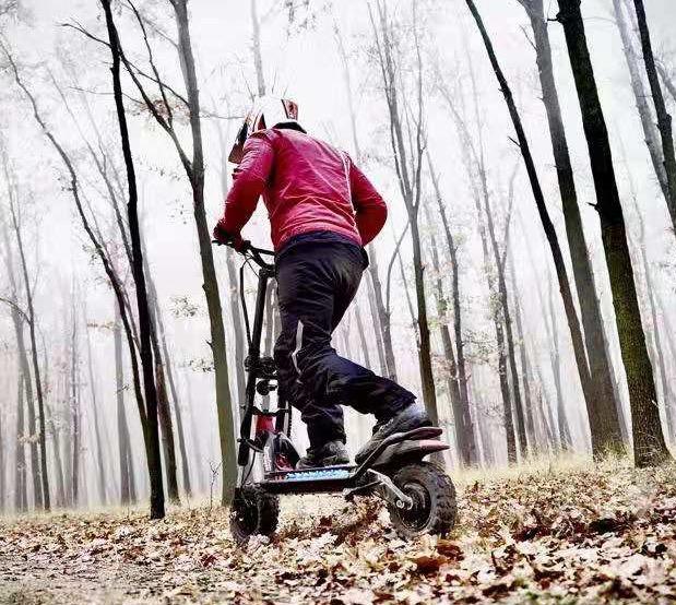 Kaabo Wolf Warrior 11