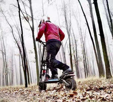 Kaabo Wolf Warrior 11